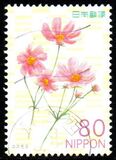 [Flowers, 類型 IQB]