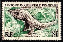 [Nature Conservation, Вид AX]