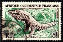 [Nature Conservation, Вид AX]