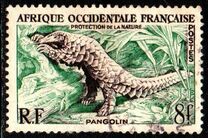 [Nature Conservation, Вид AX]