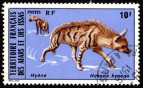 [Wildlife, тып YAJ]