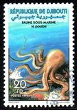 [Marine Life, 类型 QD]