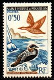 [Birds, type CX]