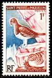 [Birds, type CY]