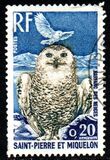 [Birds, type GF]