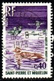[Birds, type GG]