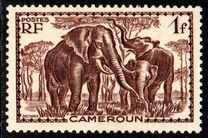 [Pictures from Cameroon, Вид X3]