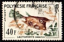 [Fish, type U]