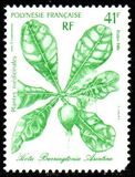 [Medicinal Plants - Designs showing Illustrations by Gilles Cordonnier, type QF]
