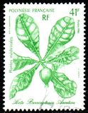 [Medicinal Plants - Designs showing Illustrations by Gilles Cordonnier, type QF]