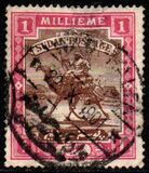 [Camel Postman, סוג I]