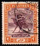 [Camel Postman - New Watermark, 類型 I16]