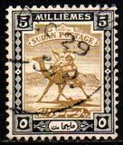 [Camel Postman - New Watermark, Tip J11]