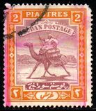 [Camel Postman - New Watermark, type I20]