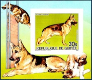 [Cats and Dogs, tegund ABK]