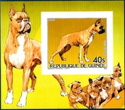 [Cats and Dogs, tegund ABM]