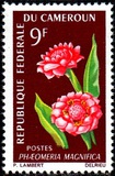 [Flowers, type FJ]