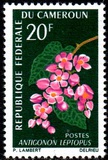 [Flowers, type FL]