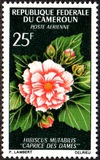 [Flowers, type FM]