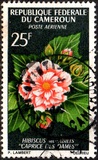 [Flowers, type FM]