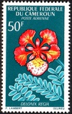 [Flowers, type FN]