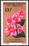 [Flowers, type FO]