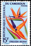 [Flowers, type HJ]