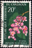 [Flowers, type FL]