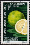 [Fruits, Tipe HA]