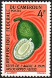[Fruits, Tipe HD]