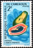 [Fruits, Tipe HB]