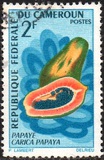 [Fruits, Tipe HB]