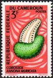 [Fruits, Tipe HC]