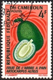 [Fruits, Tipe HD]