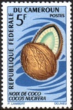 [Fruits, Tipe HE]