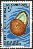 [Fruits, Tipe HE]