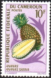 [Fruits, Tipe HH]