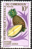 [Fruits, Tipe HH]