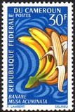 [Fruits, Tipe HI]