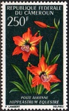 [Flowers, type HL]