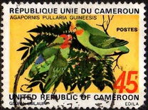 [Birds, වර්ගය OL]