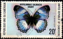 [Butterflies, Tipe UN]