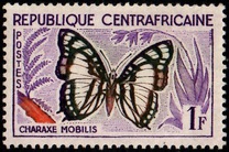 [Butterflies, type E]