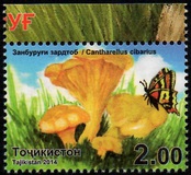 [Mushrooms, type XE]