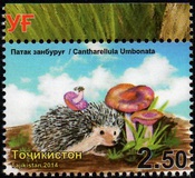 [Mushrooms, type XF]