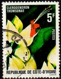 [Flowers, type QK]