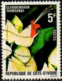[Flowers, type QK]