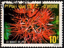 [Flowers, type QL]