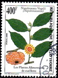 [Native Crop, type AME]