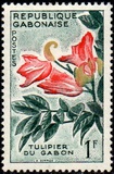 [Flowers, 유형 AO]